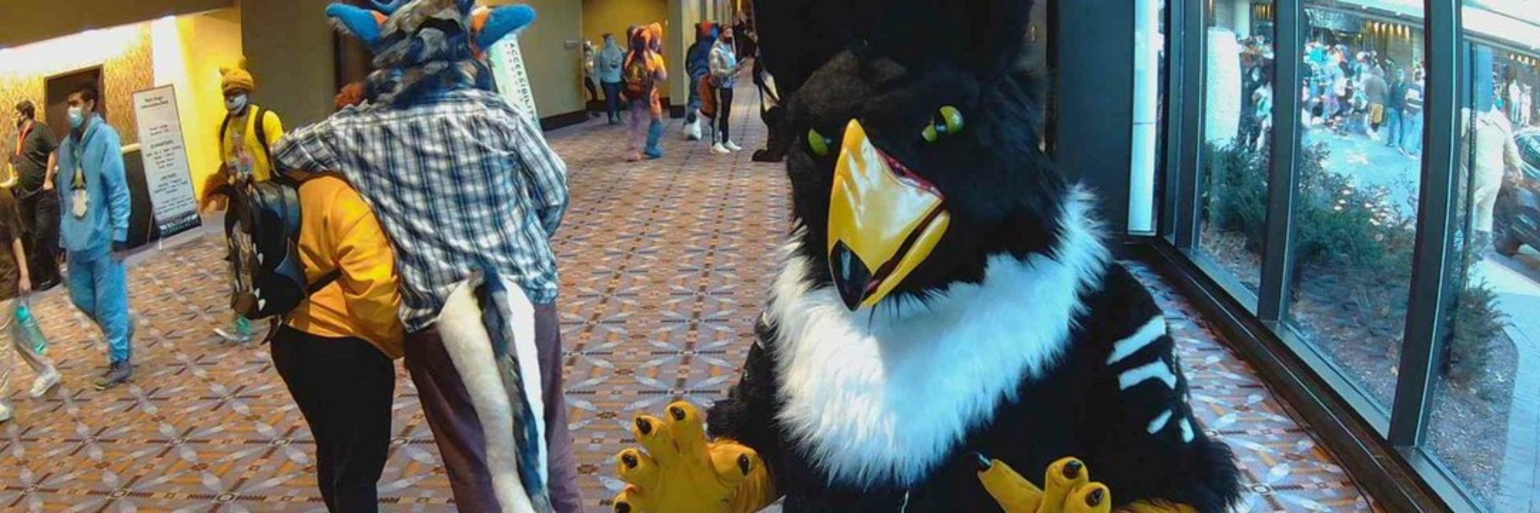Storm Gryphon