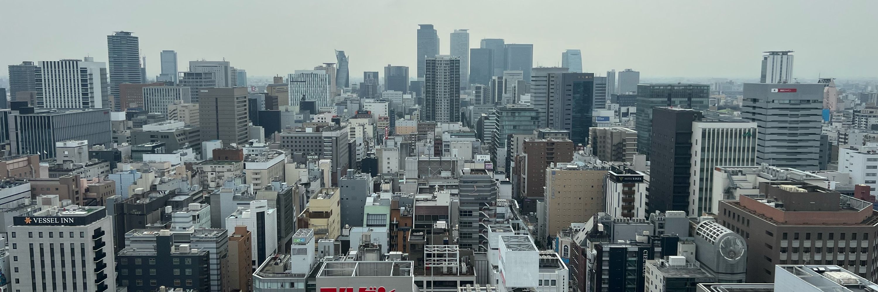 角刈りの木