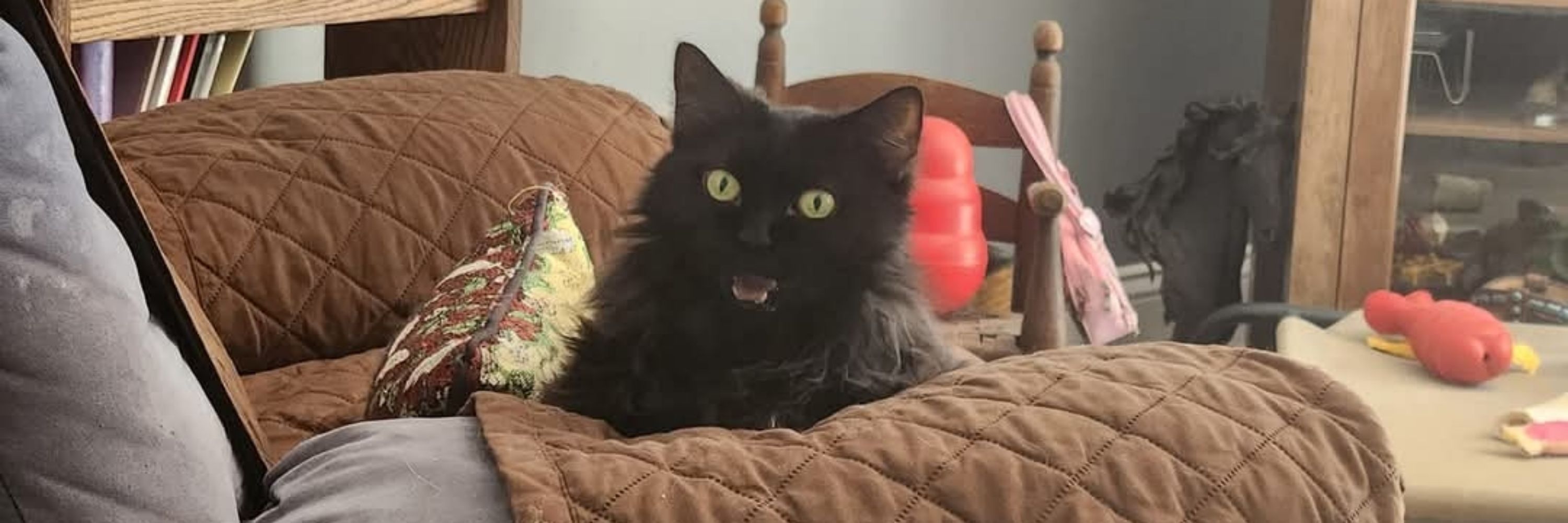 Mel