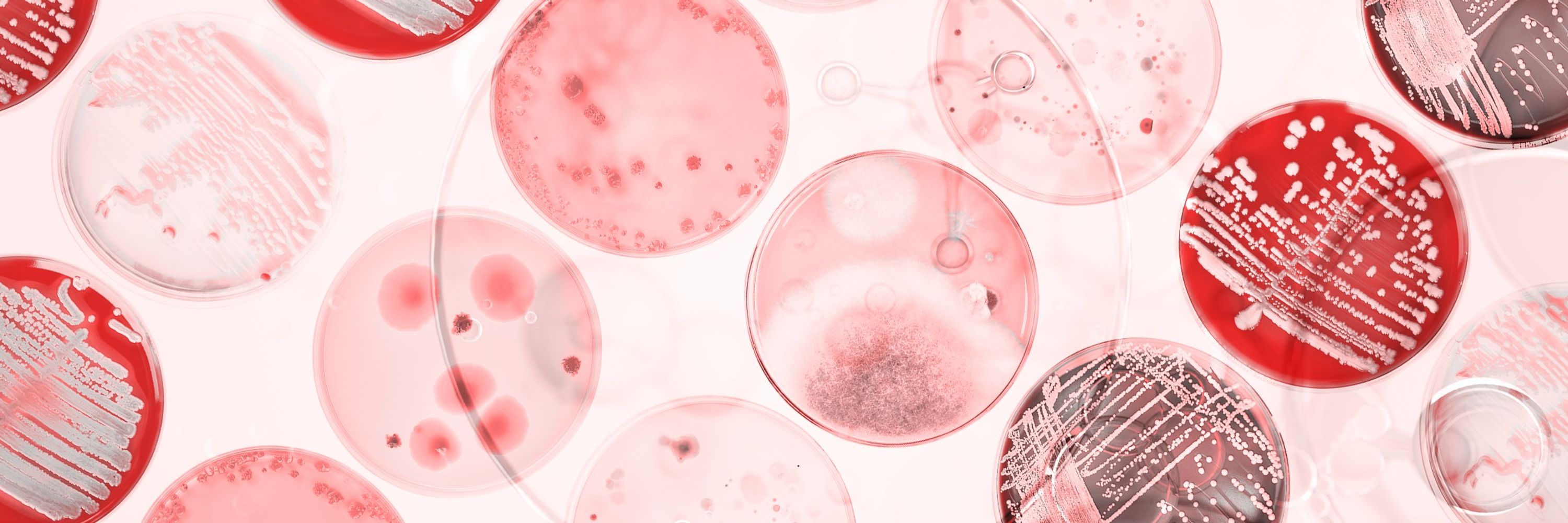 University of Utah Health Research