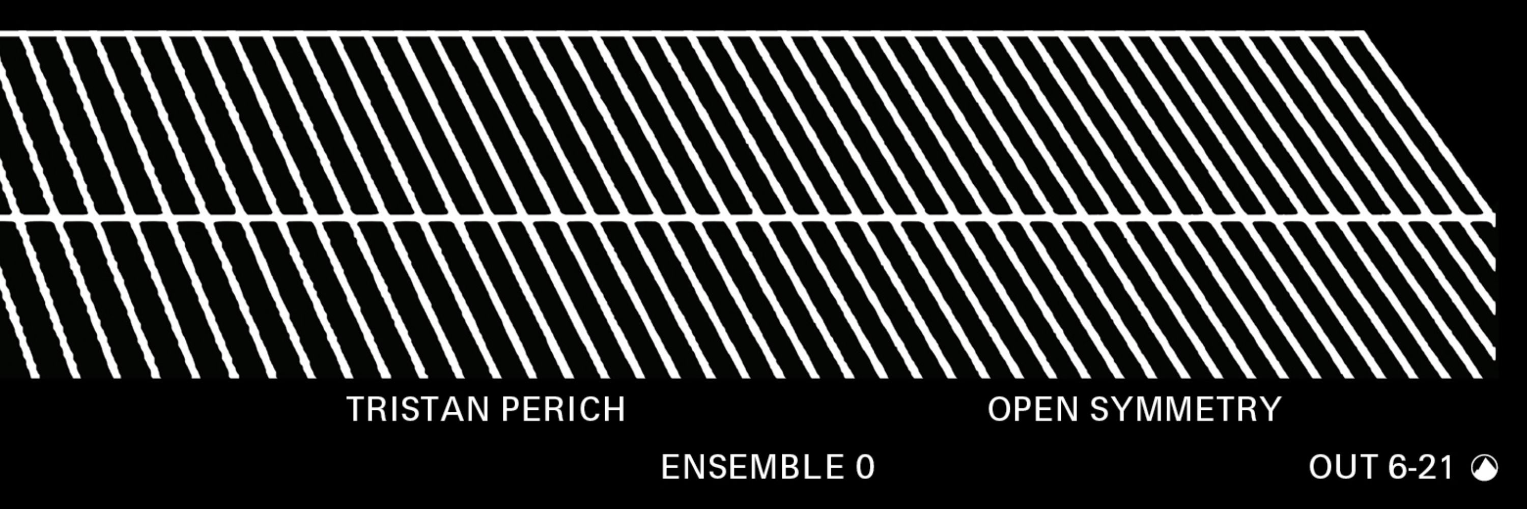 Tristan Perich