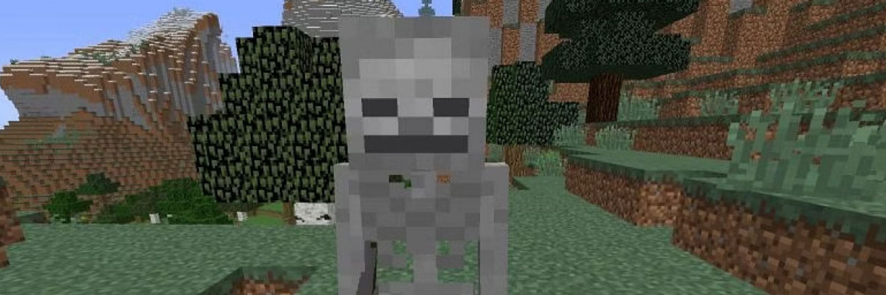Skeleton 