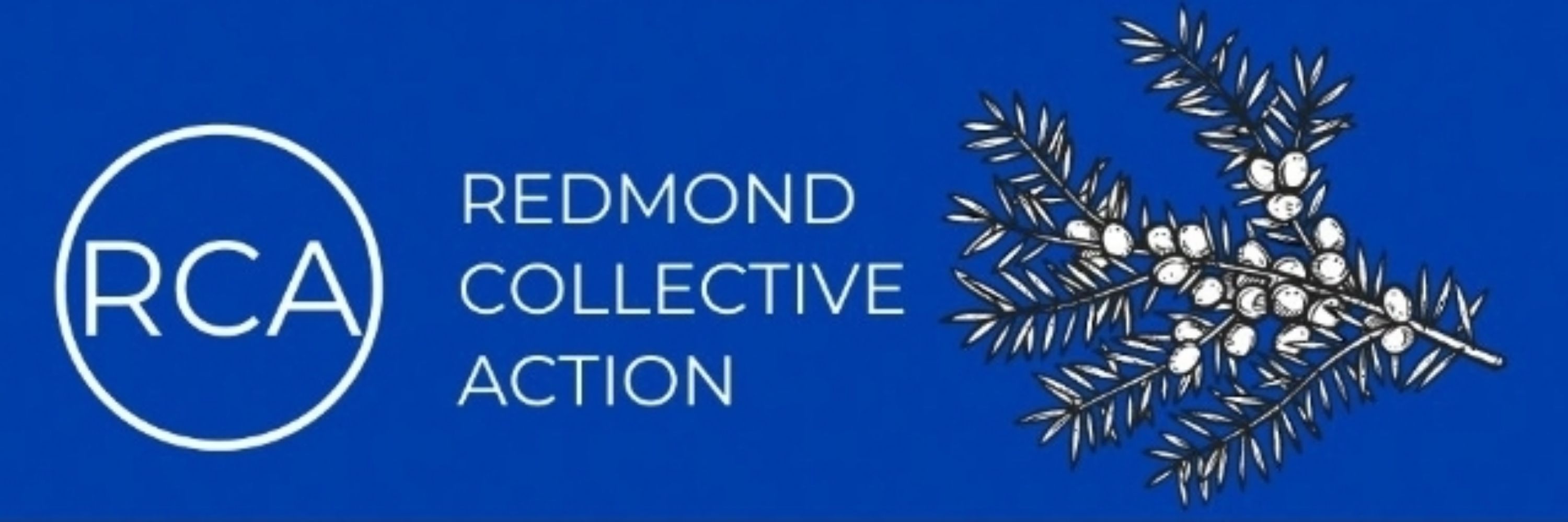 Redmond Collective Action