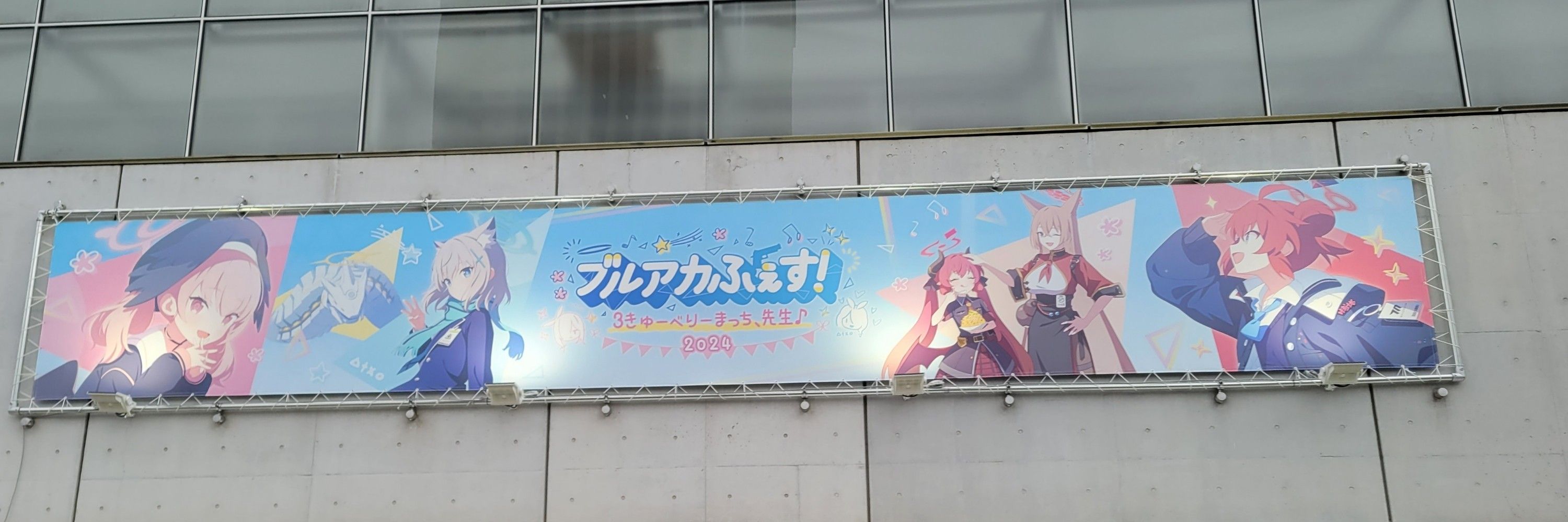 ねこきっく