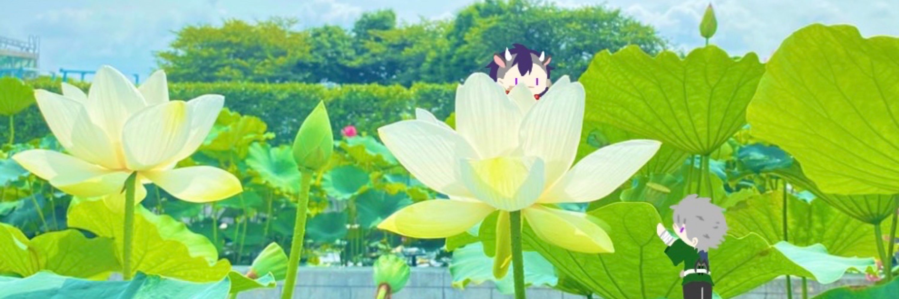蒼乙