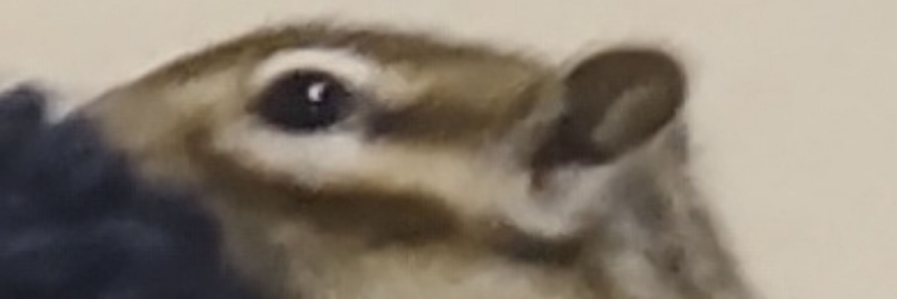 えだまめのたまご