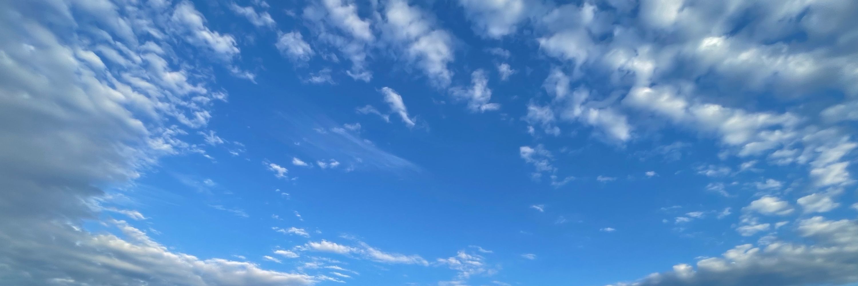 梵シャンカール