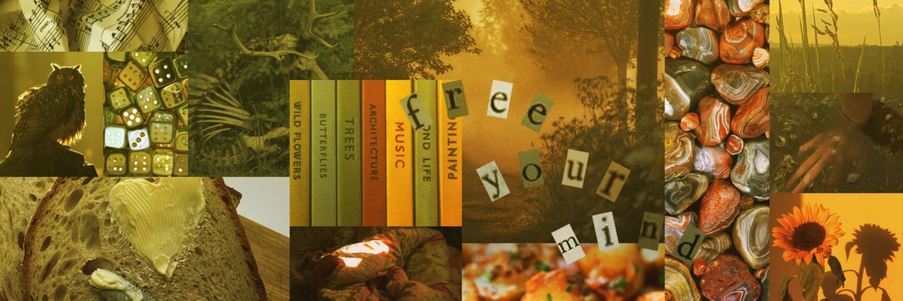 Sina 🍂