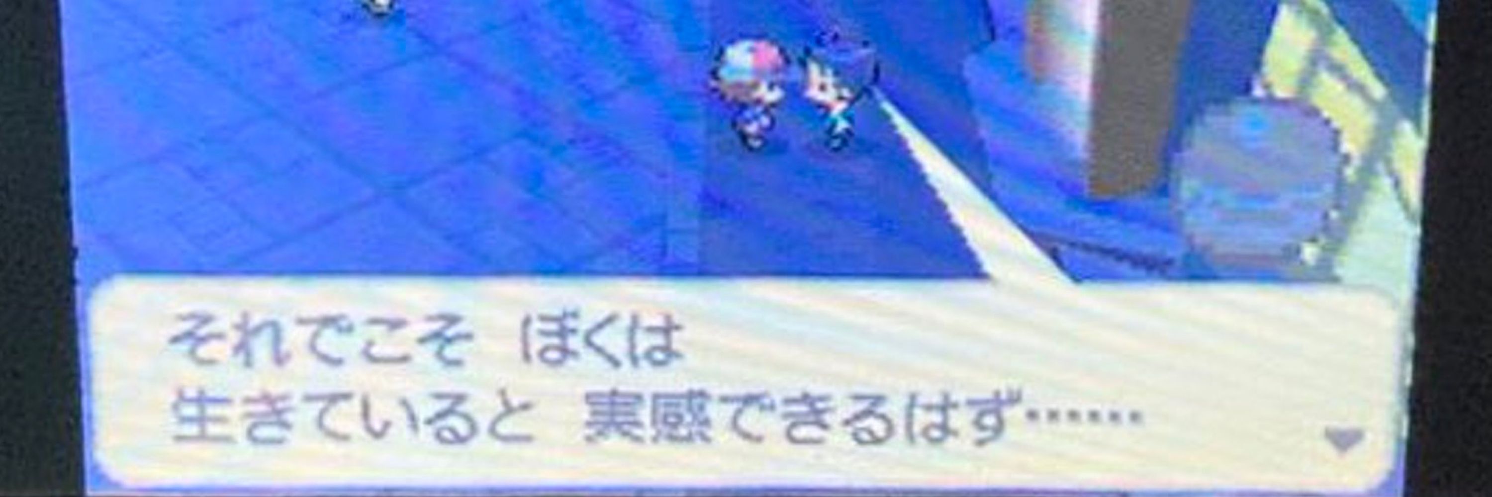 枝
