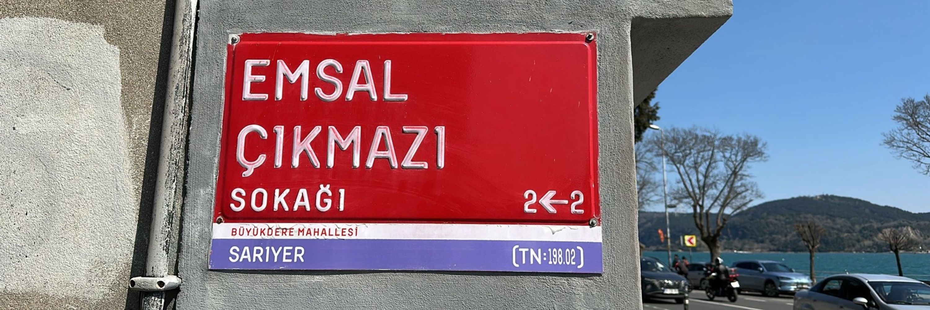 Emsal FALAN