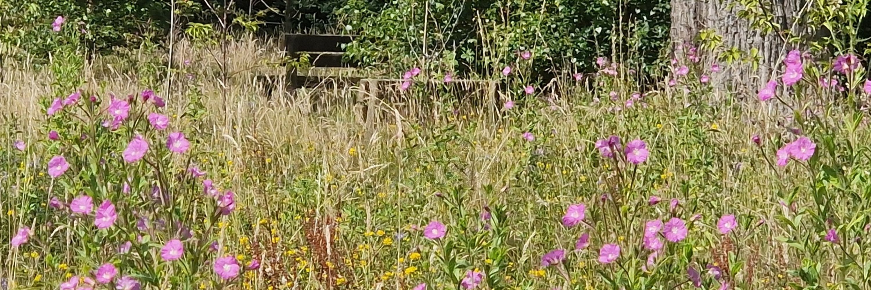 The Natural Burial Company