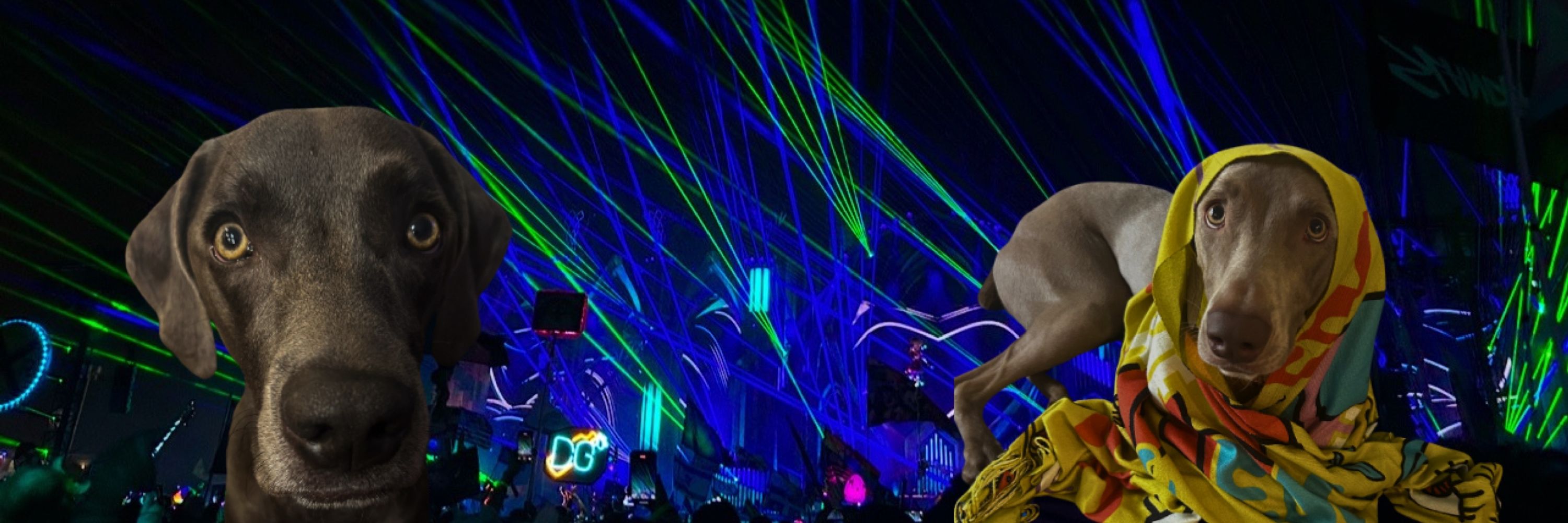 Wooli B2B Rezz