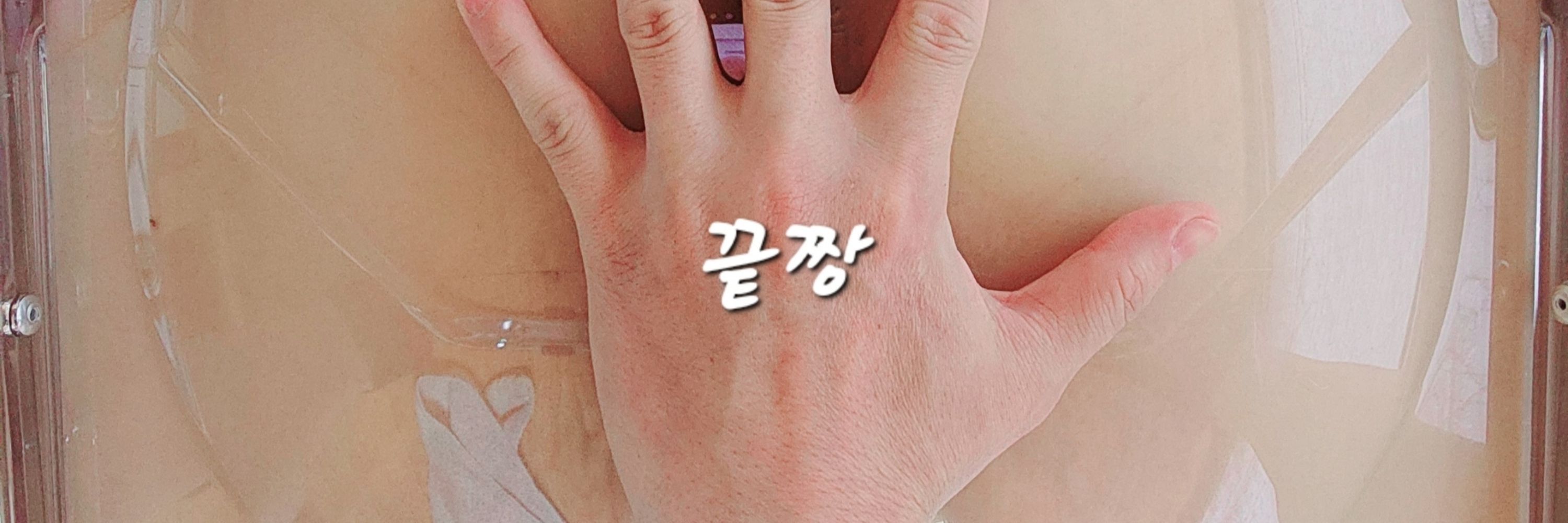 끝짱 (끝판대장)