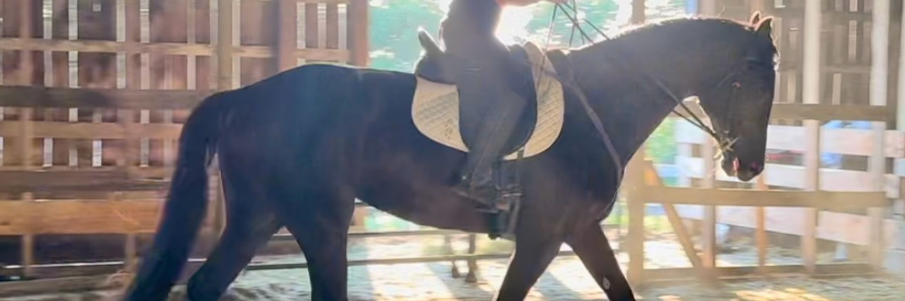 Uncommon Equestrian Center