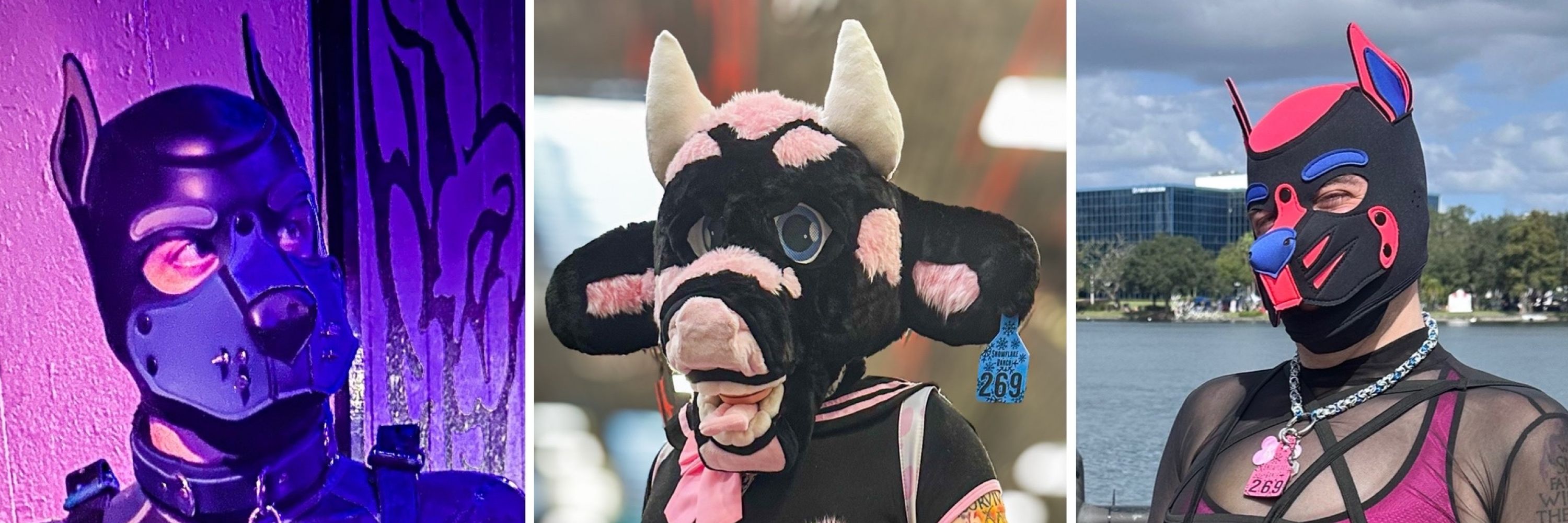 Bleu 🐮🐶🔜FWA