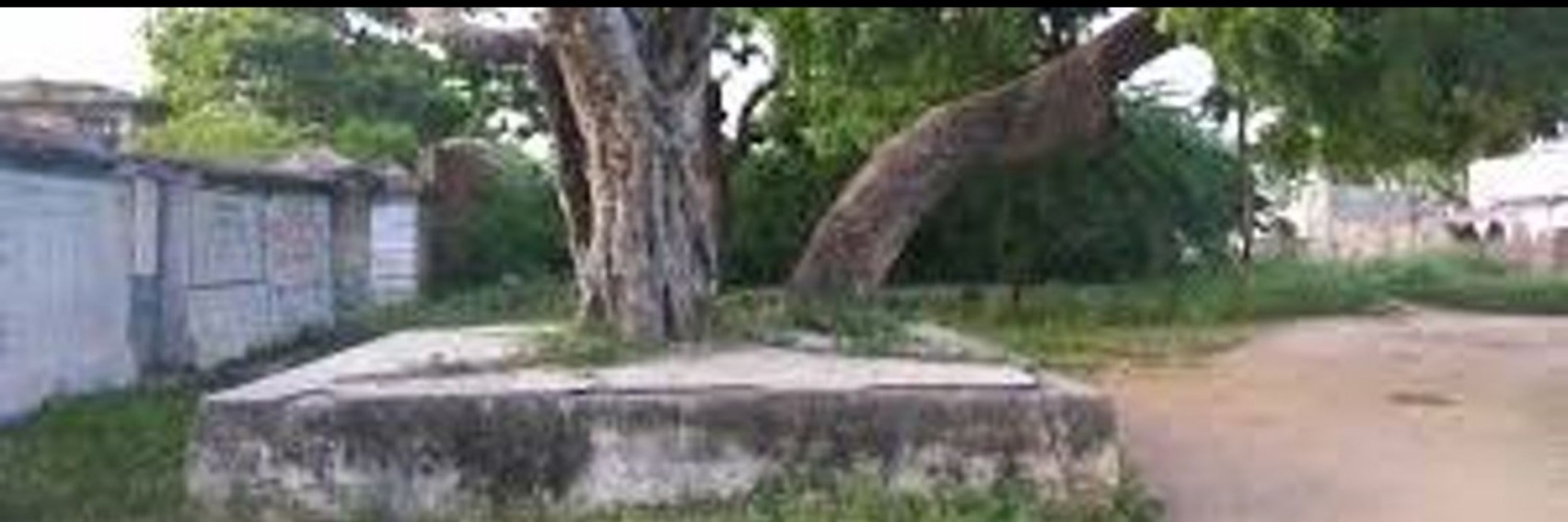 Sarpanch