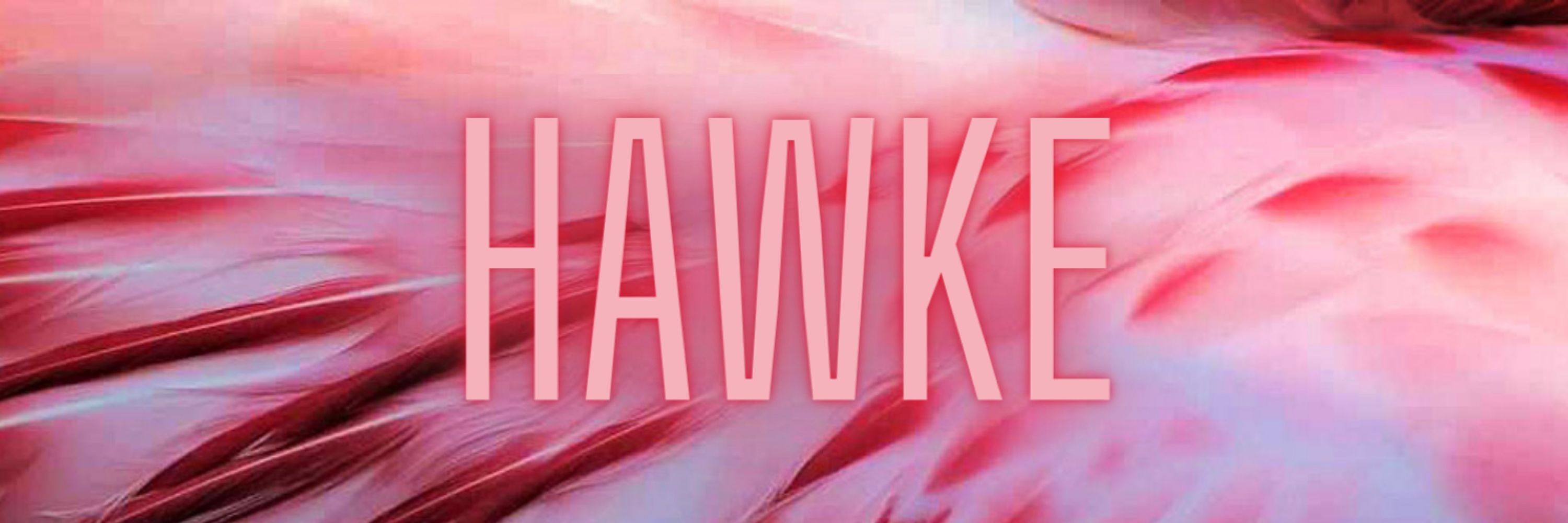 H•A•W•K•E