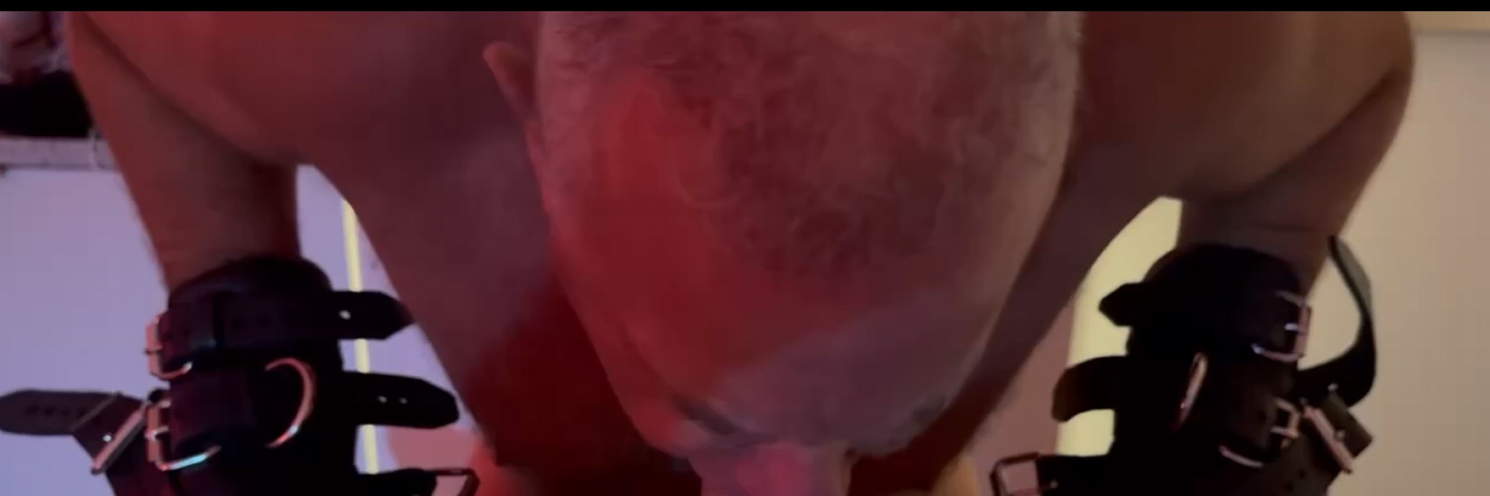 meat