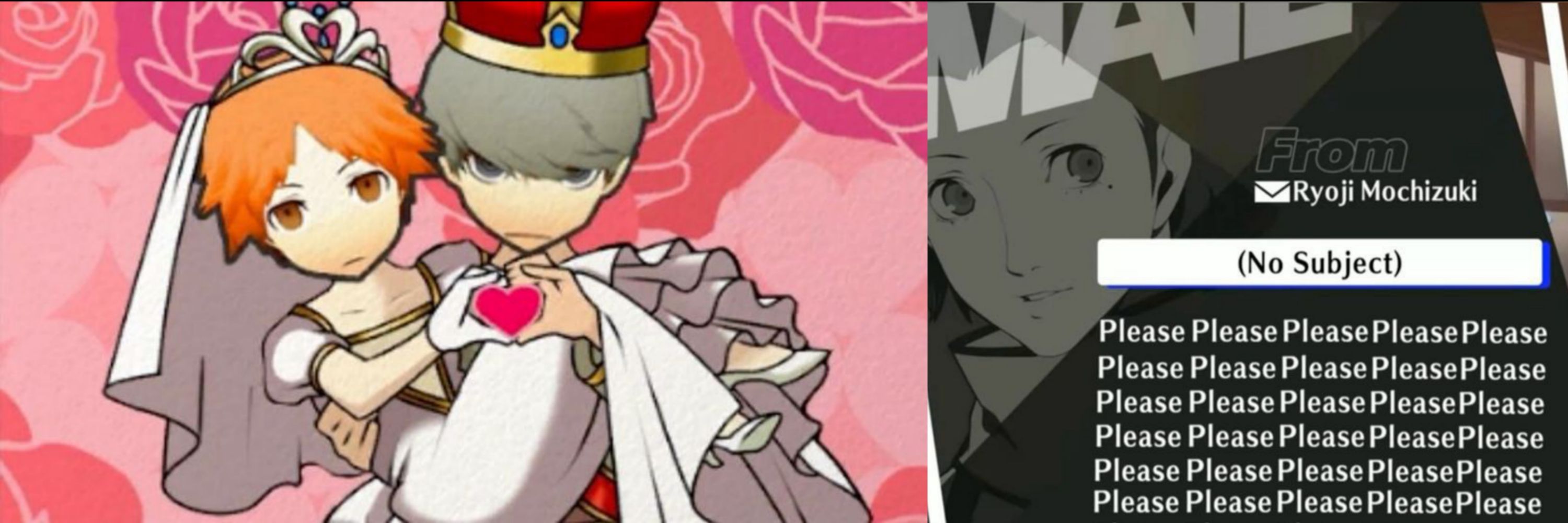 daily gay persona