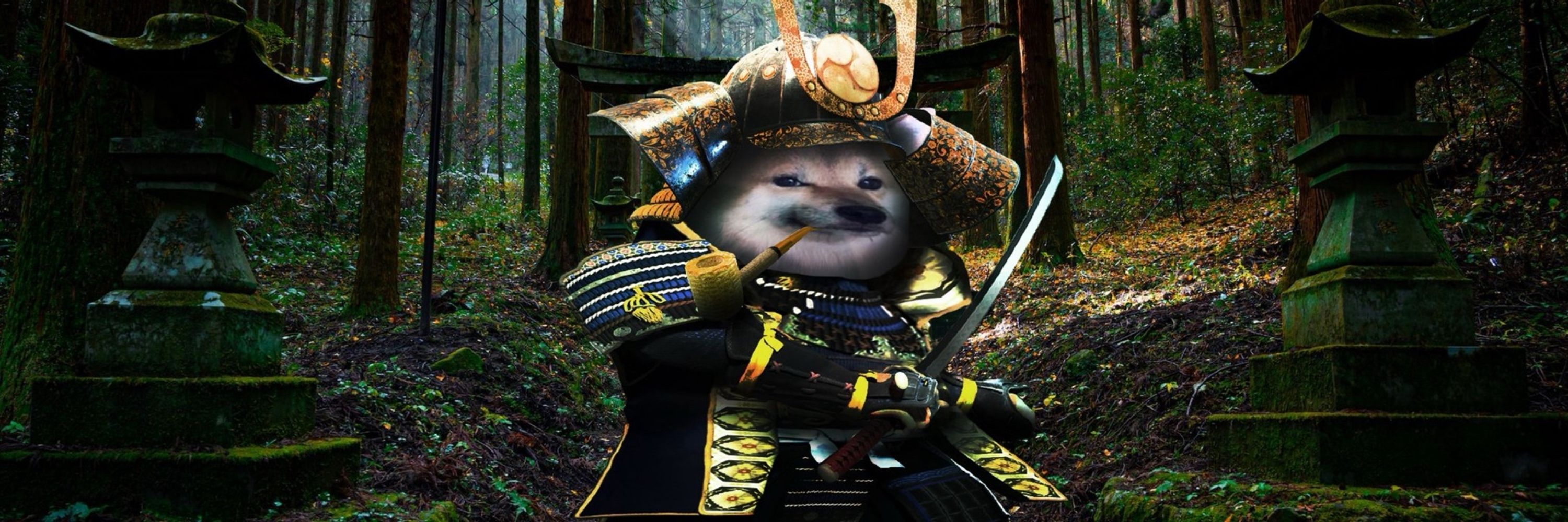 🇸​​🇵​​🇪​​🇳​​🇨​​🇪  Fella