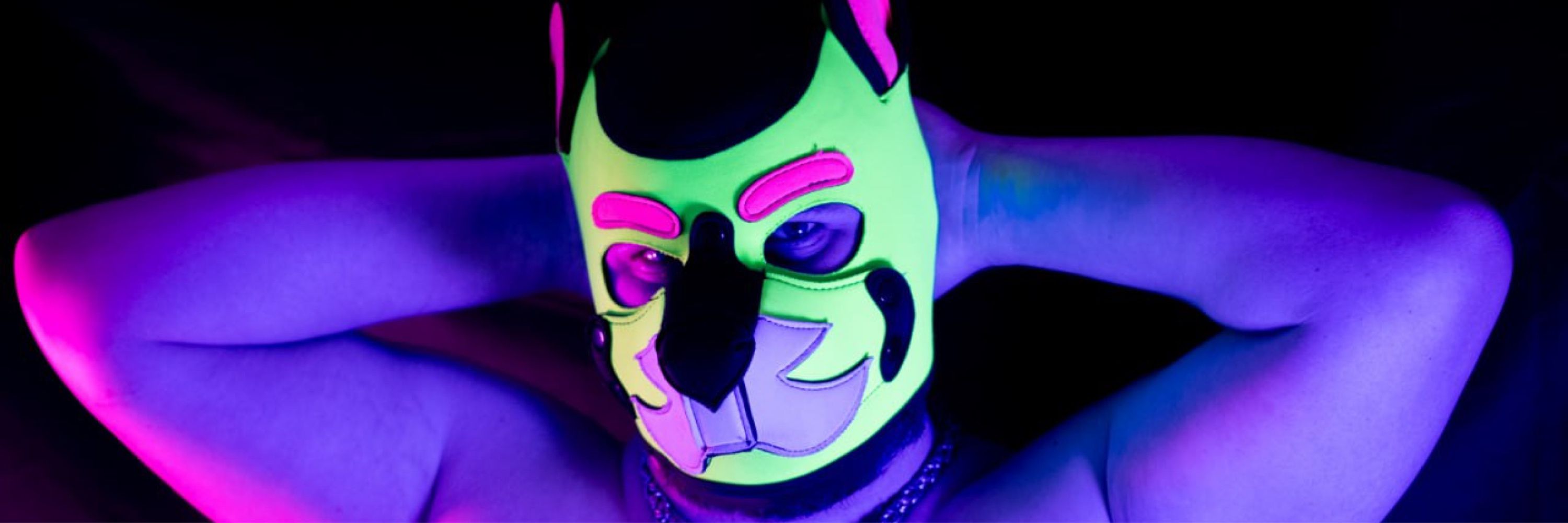 Pup Zim
