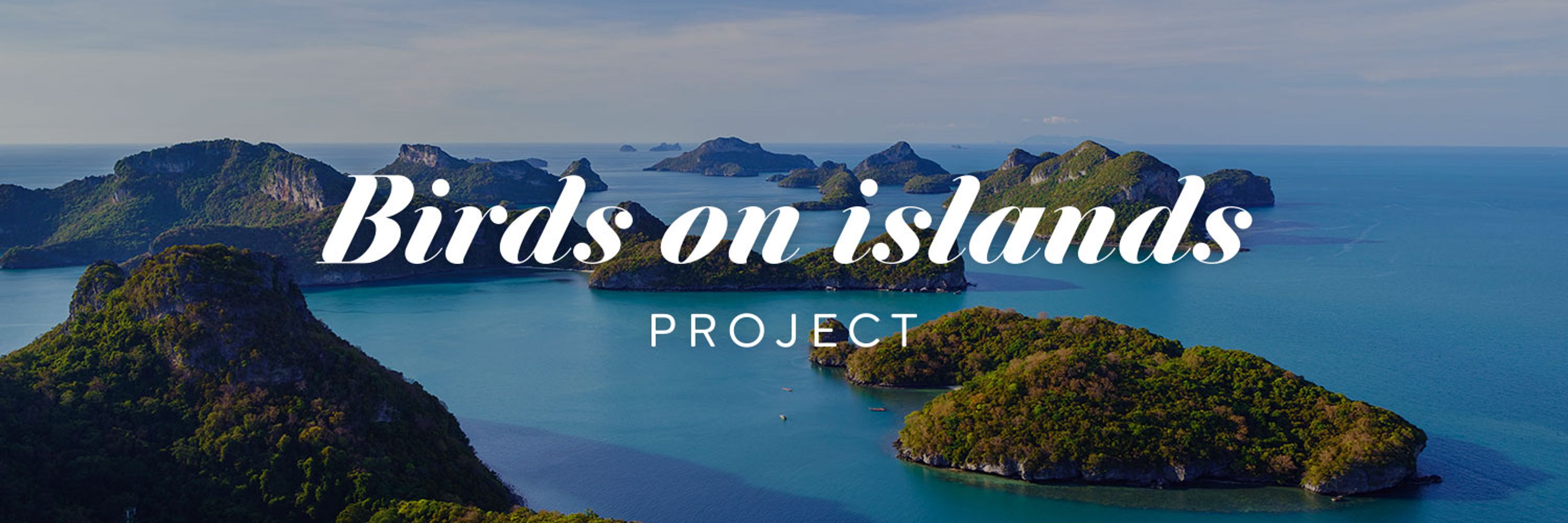 Island bird Research