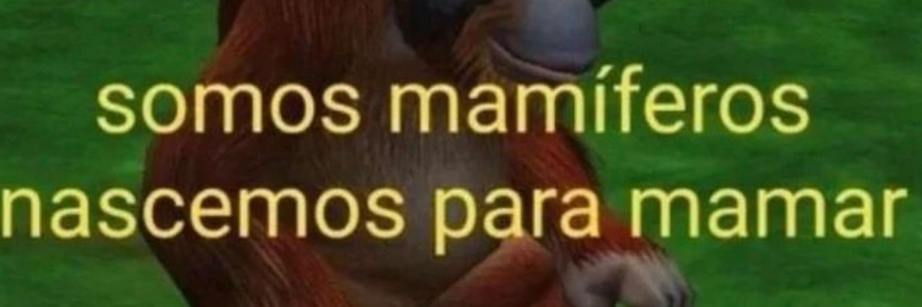 Dassa RipTwitter