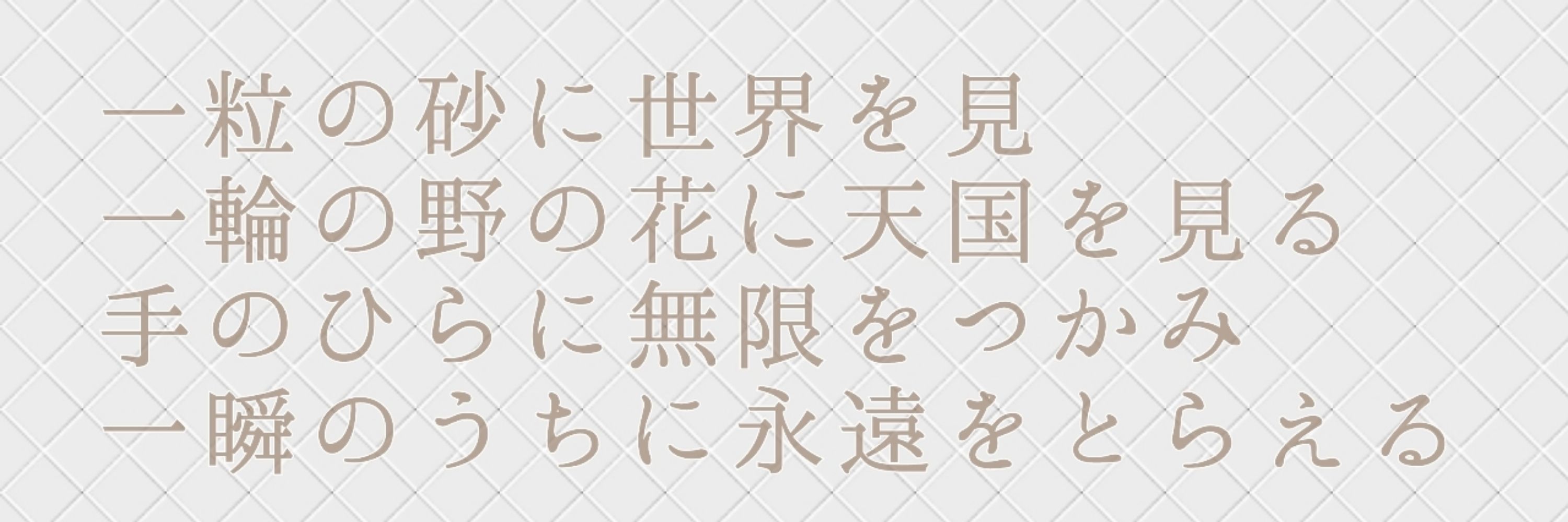 かるら🐈‍⬛