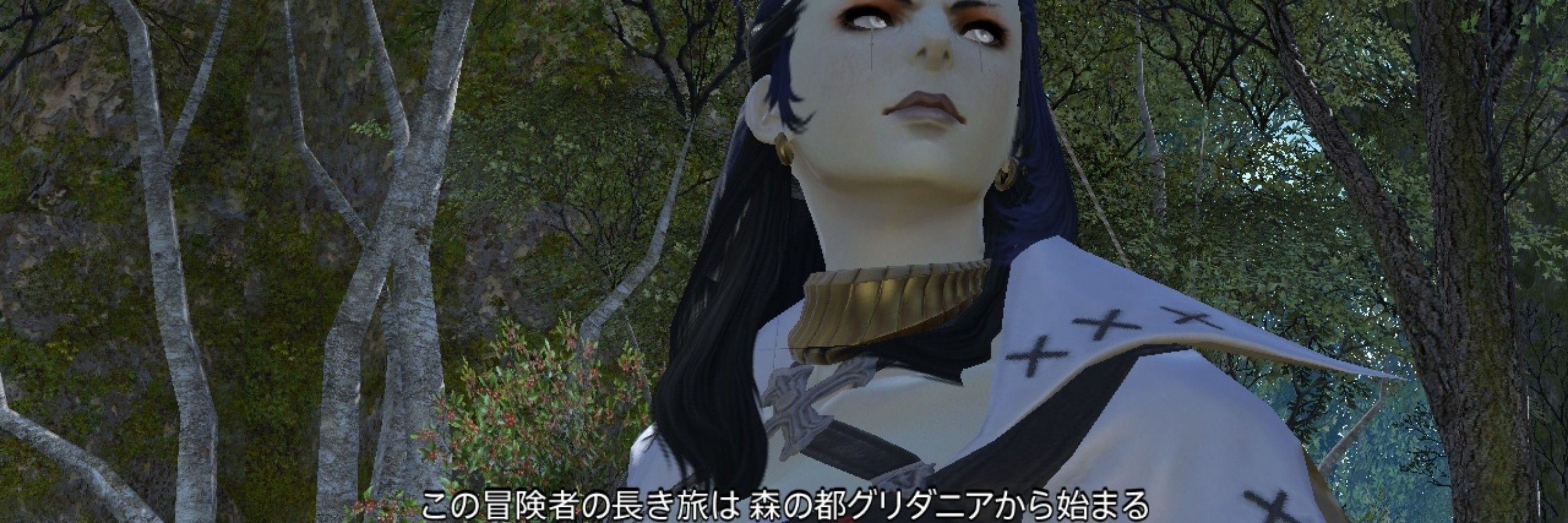 やいるか