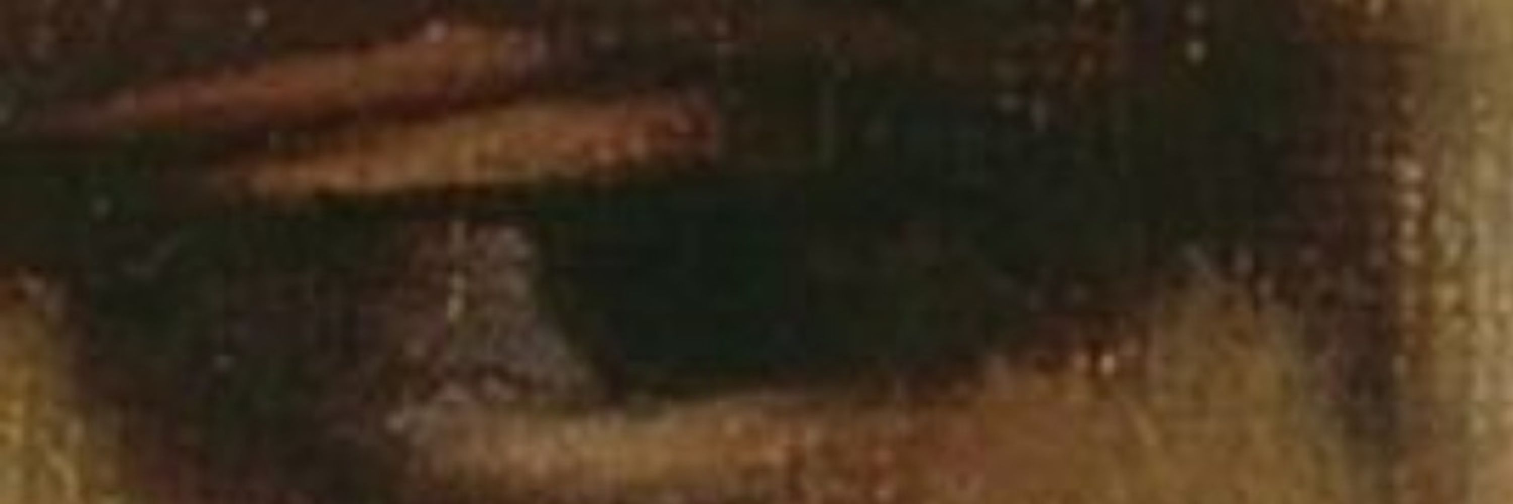 Jay