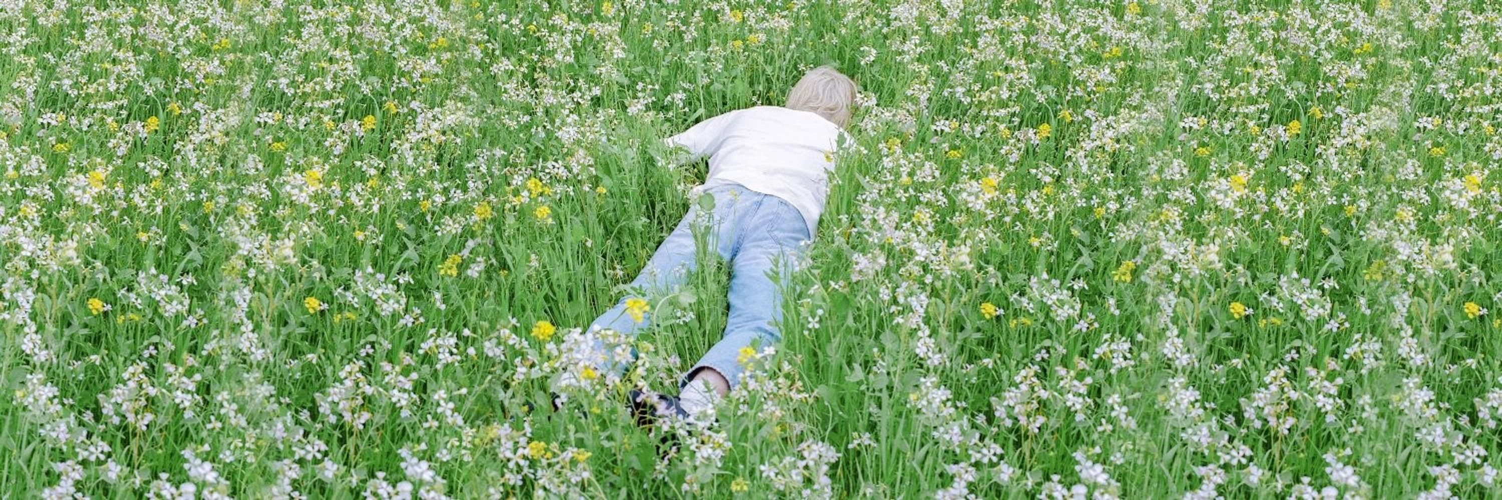 clover