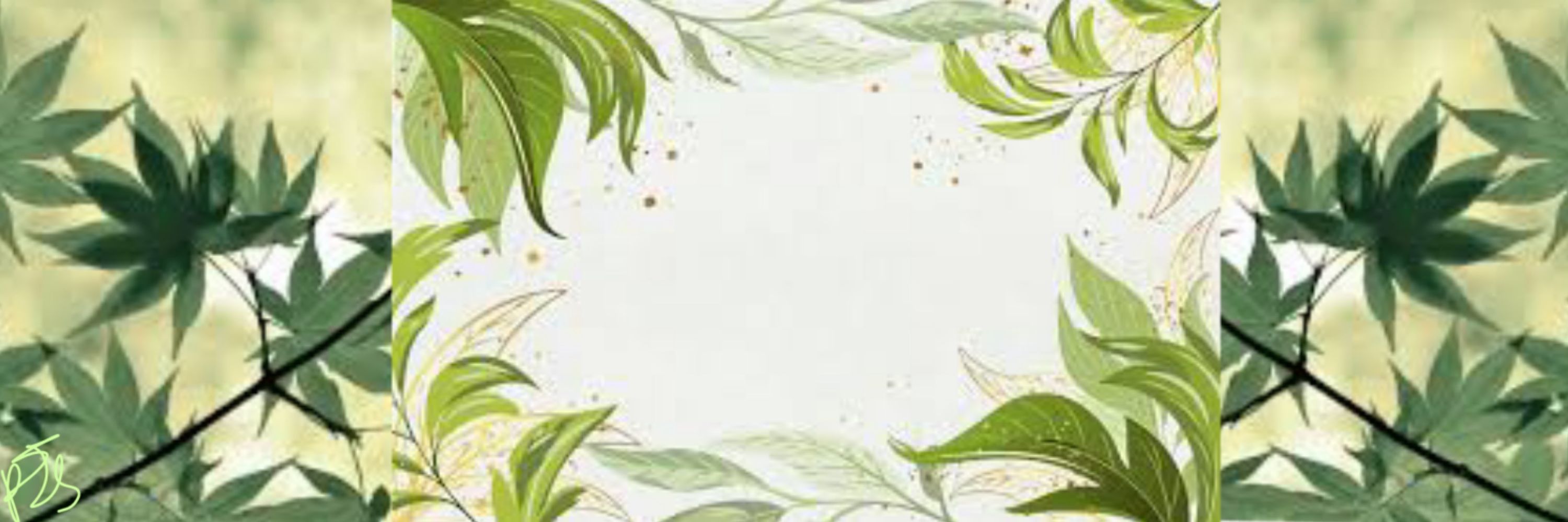 ✧⋆PJS’ Art gallery⋆✧
