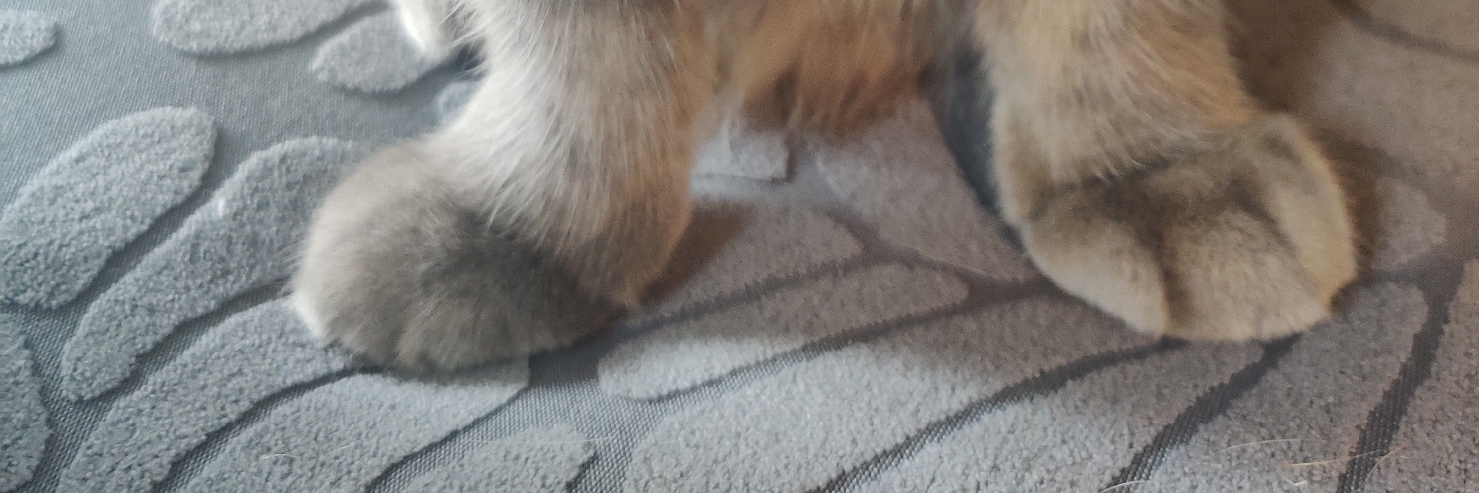 young radish