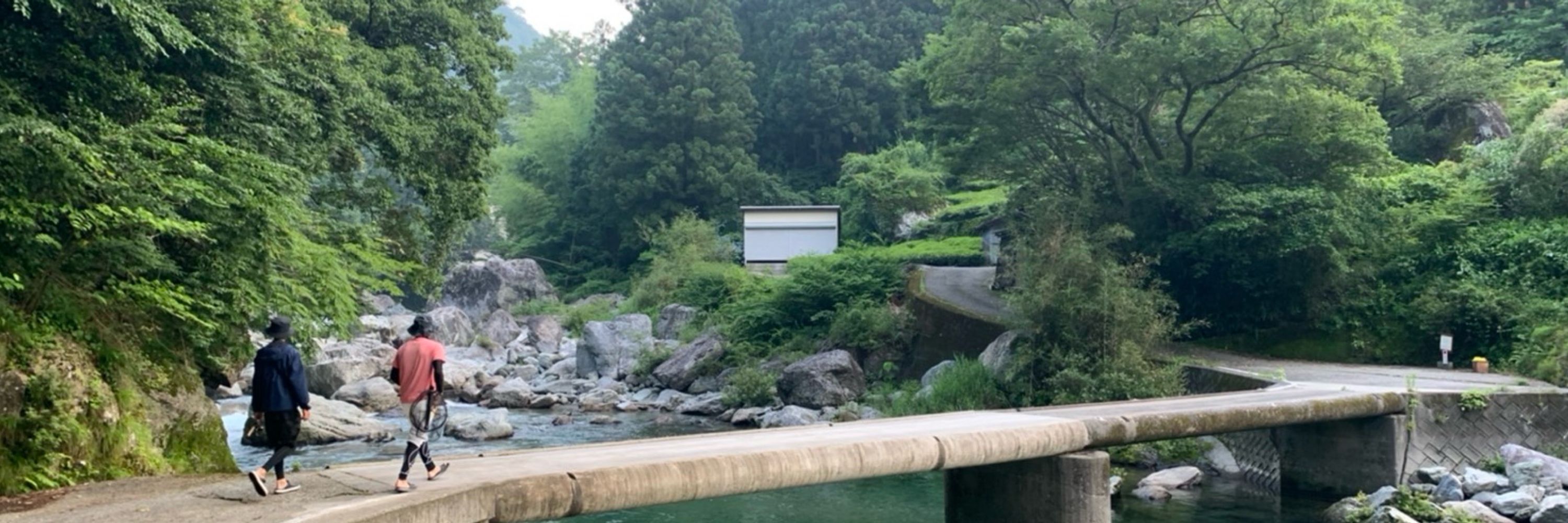 釣りの竜