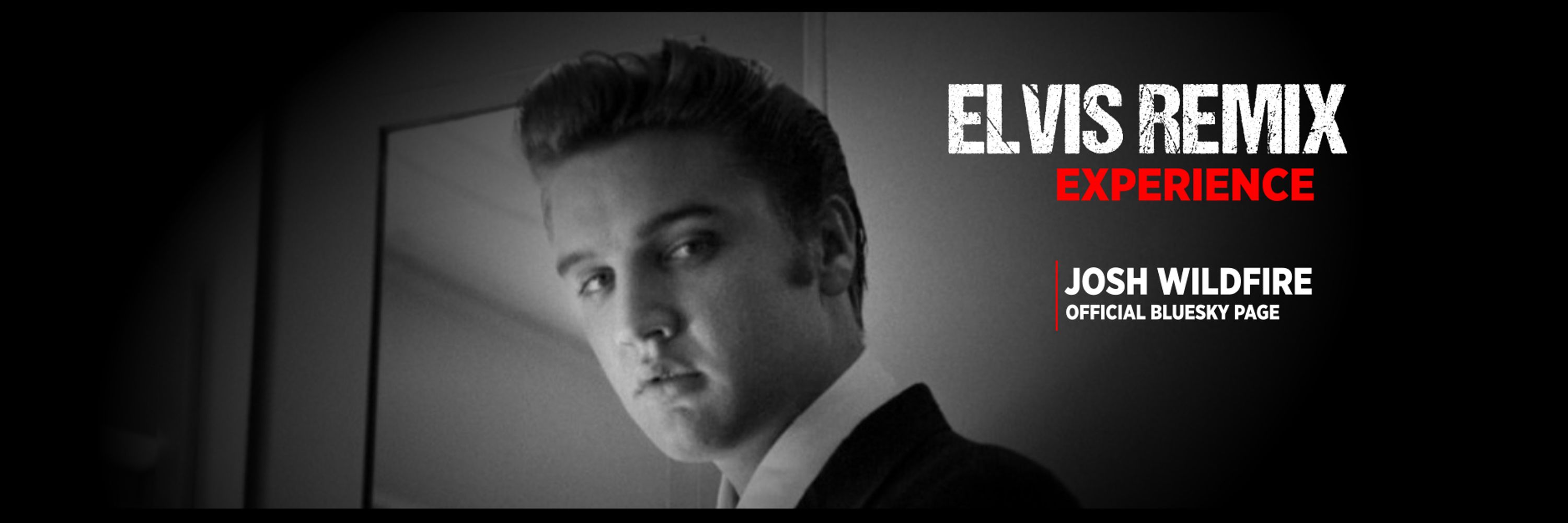 Elvis Remix Experience