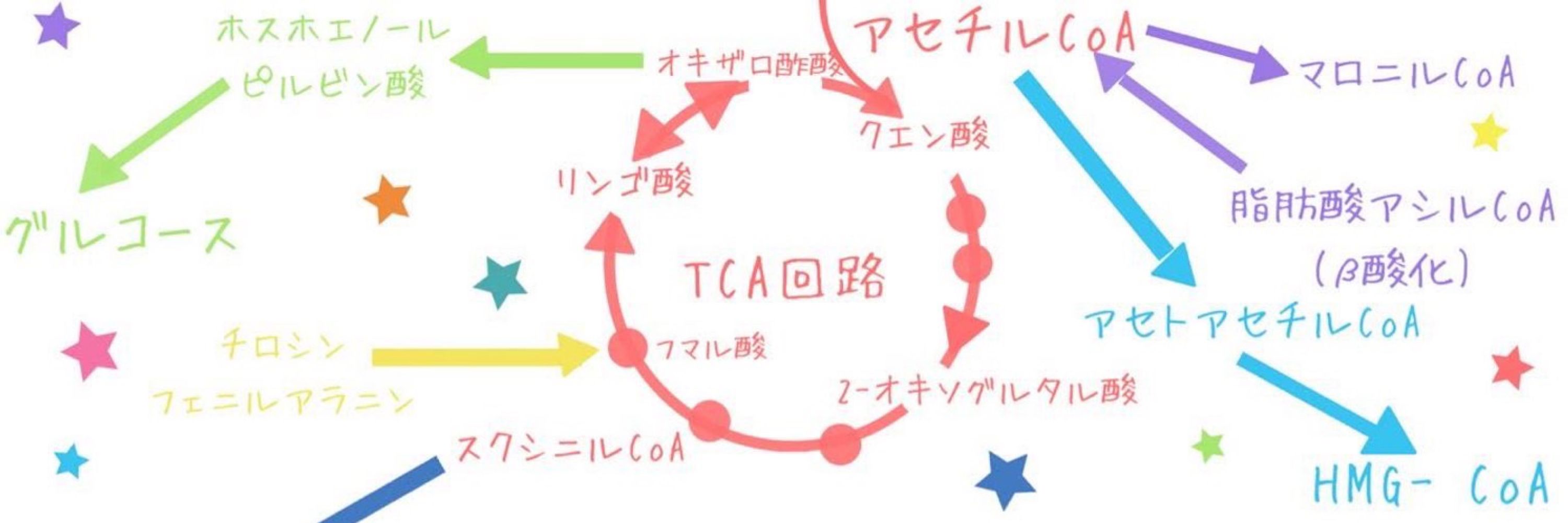 さじこ🥄