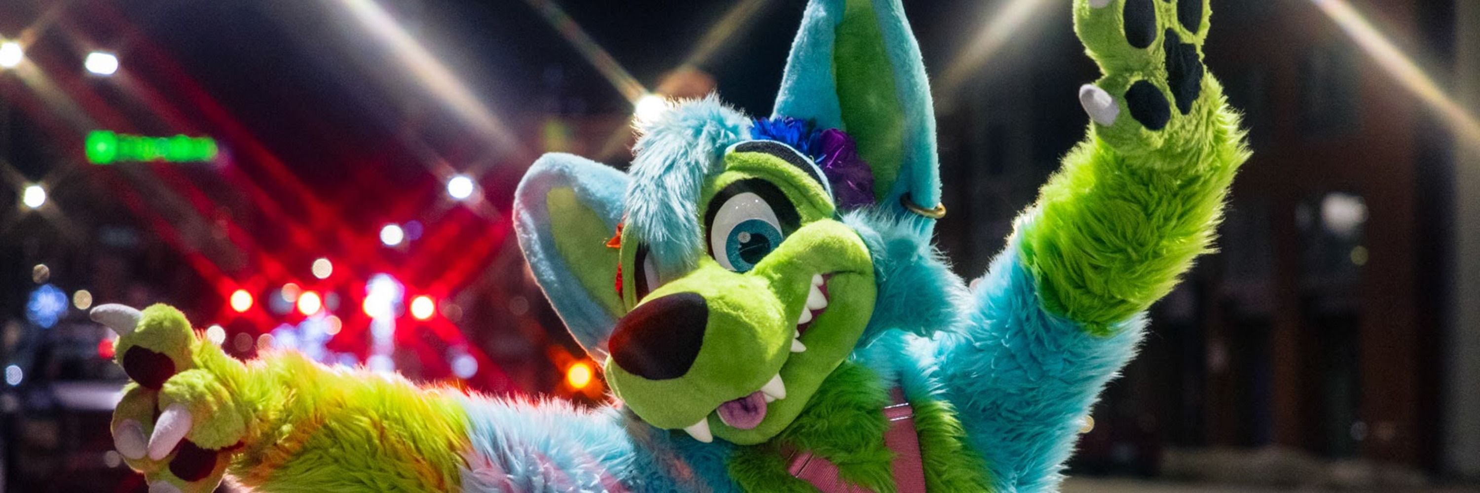 KovuTheHusky 🔜 Furcationland