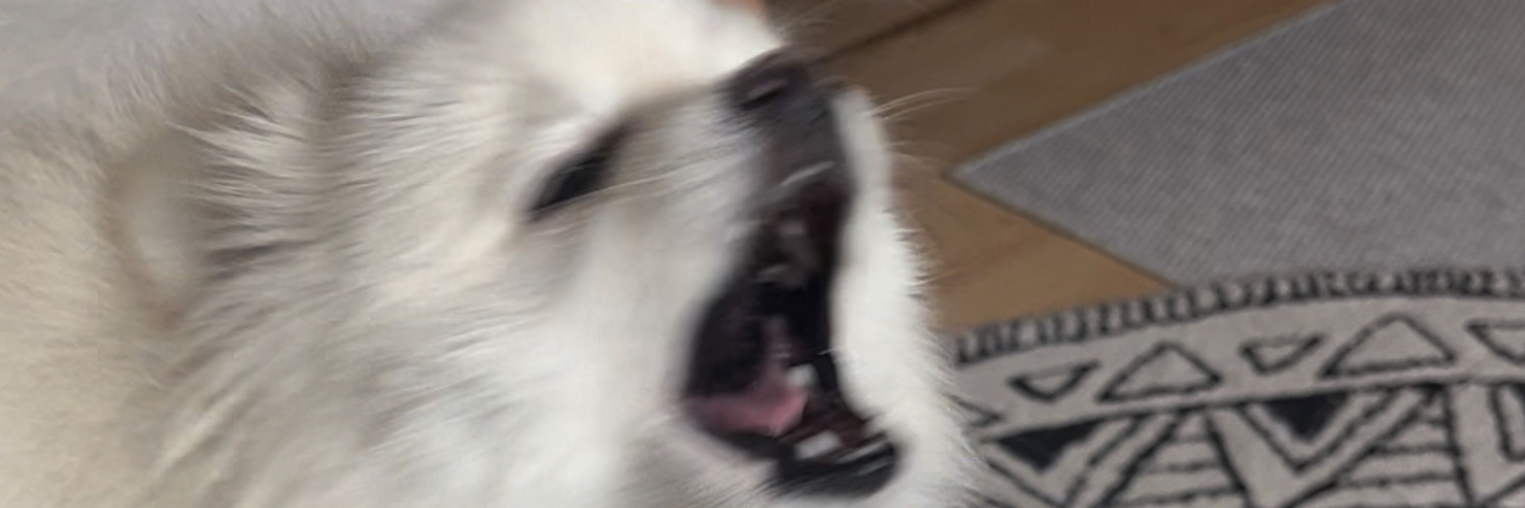 오로링