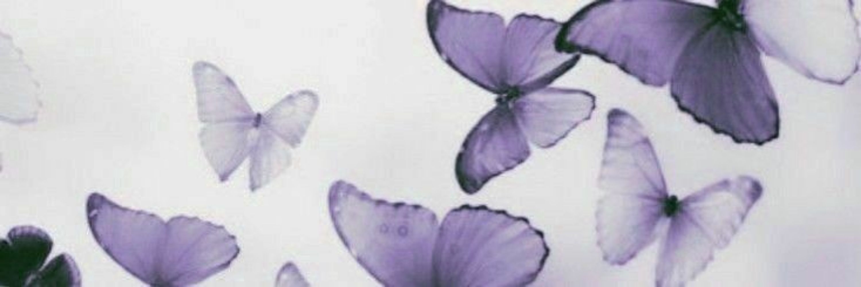 𝑁𝑎𝑔𝑖 ୨ৎ