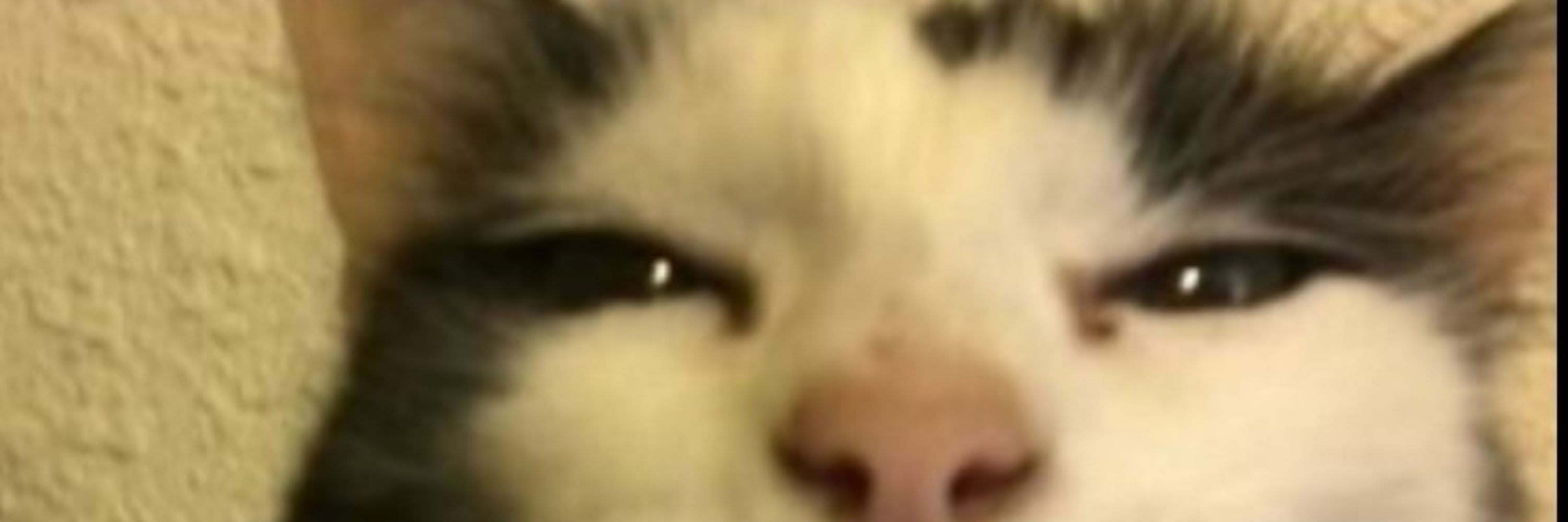 Teker >:)