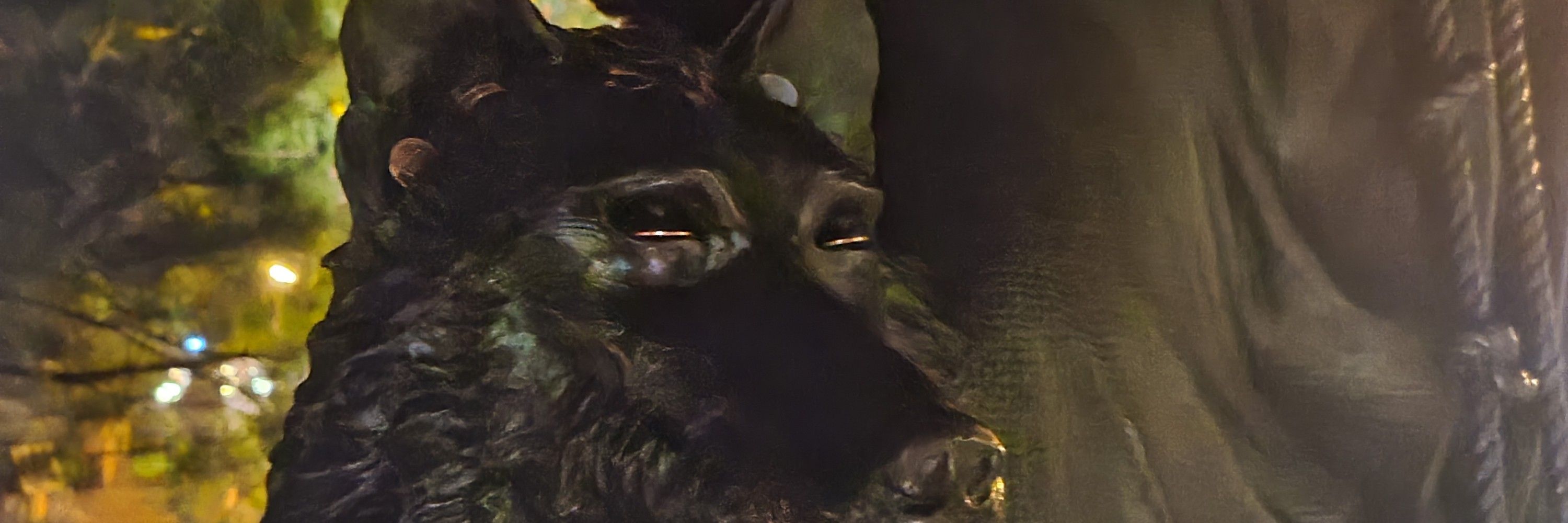Silius The Fox