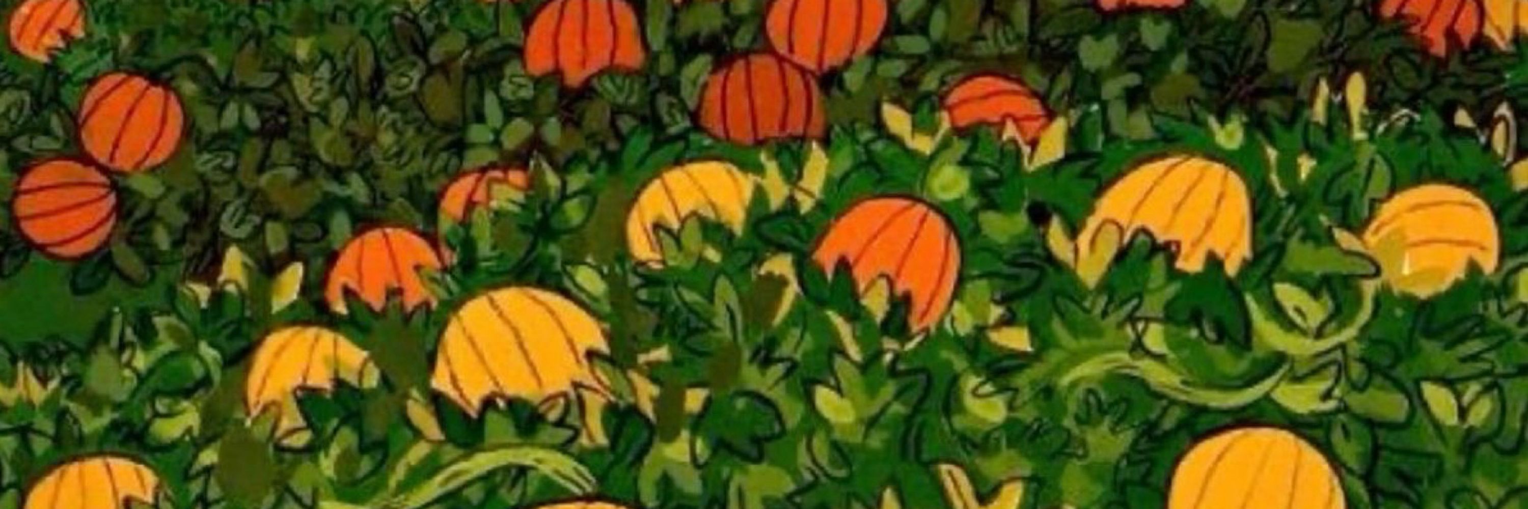 🍂Squash🍂