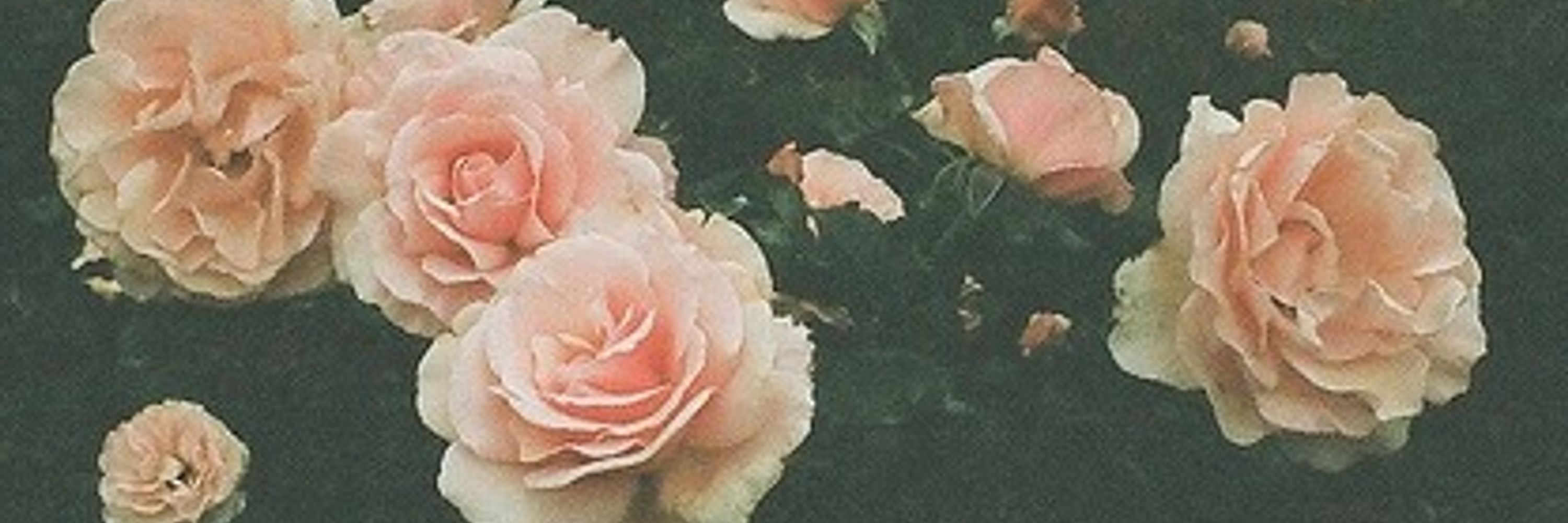 a.
