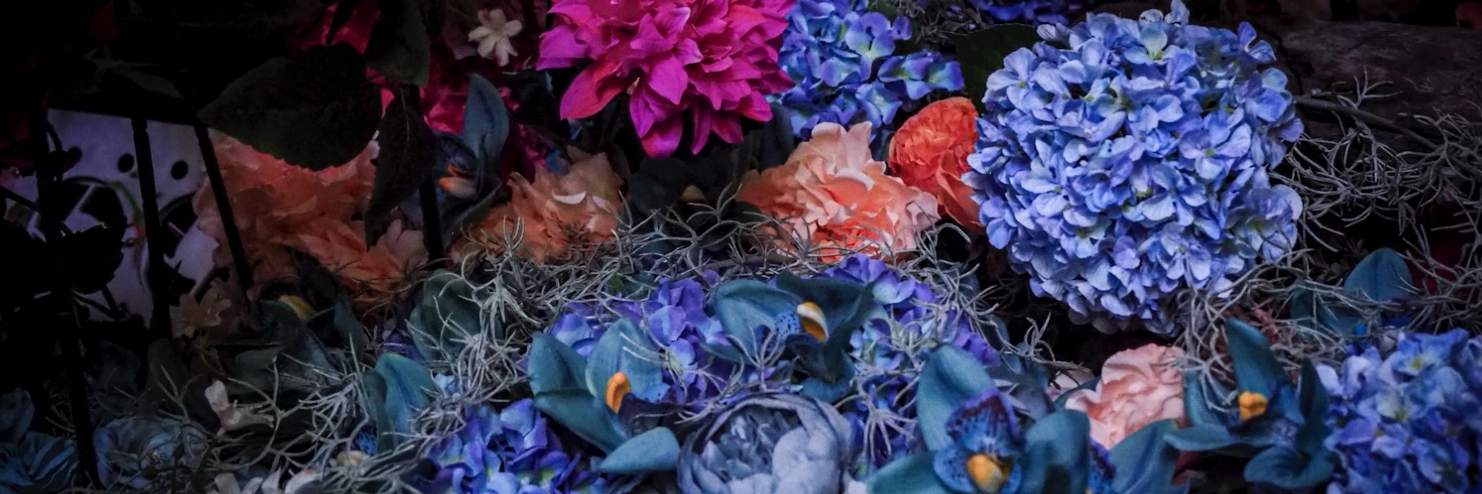 芙蓉