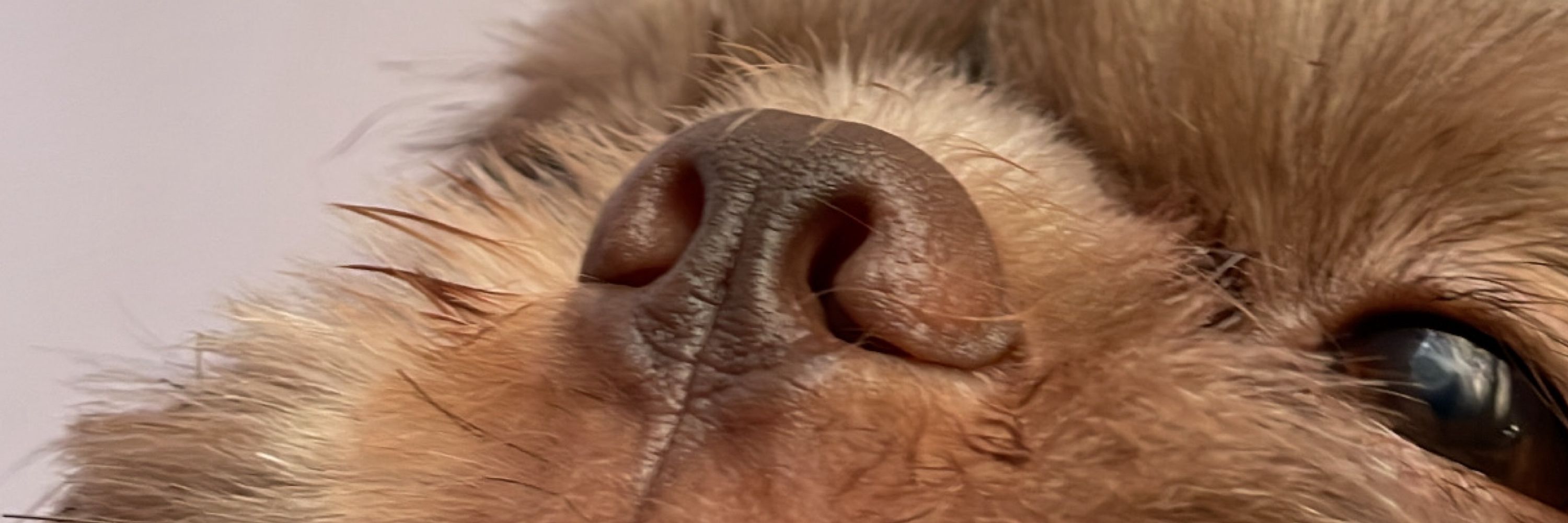 Meu nome não é Clarice