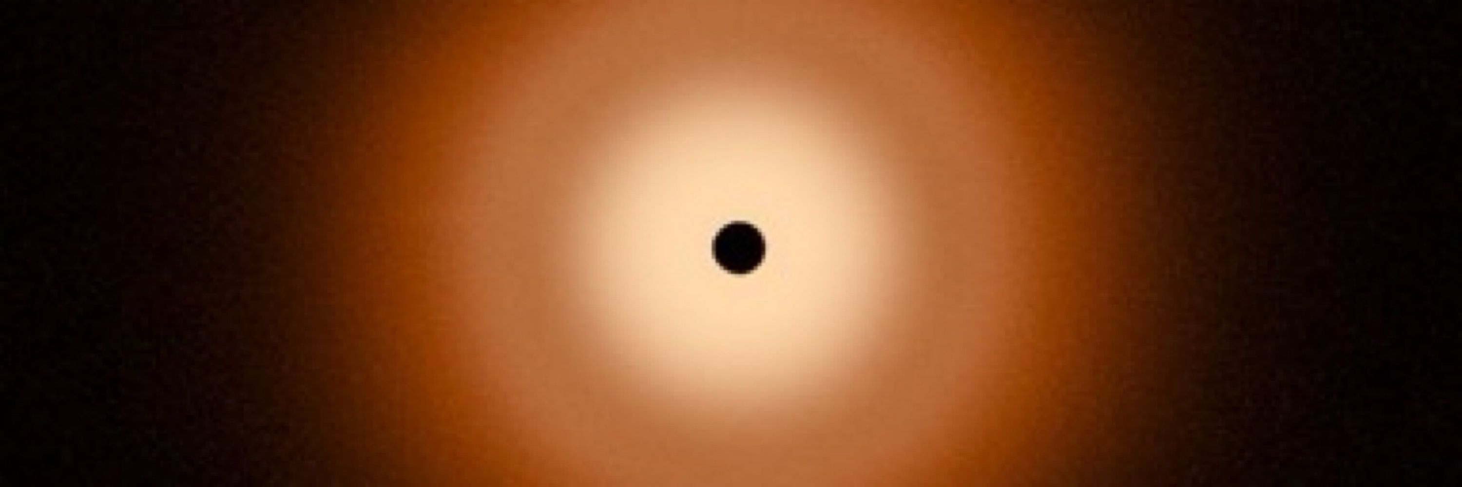 OrangeTurtl