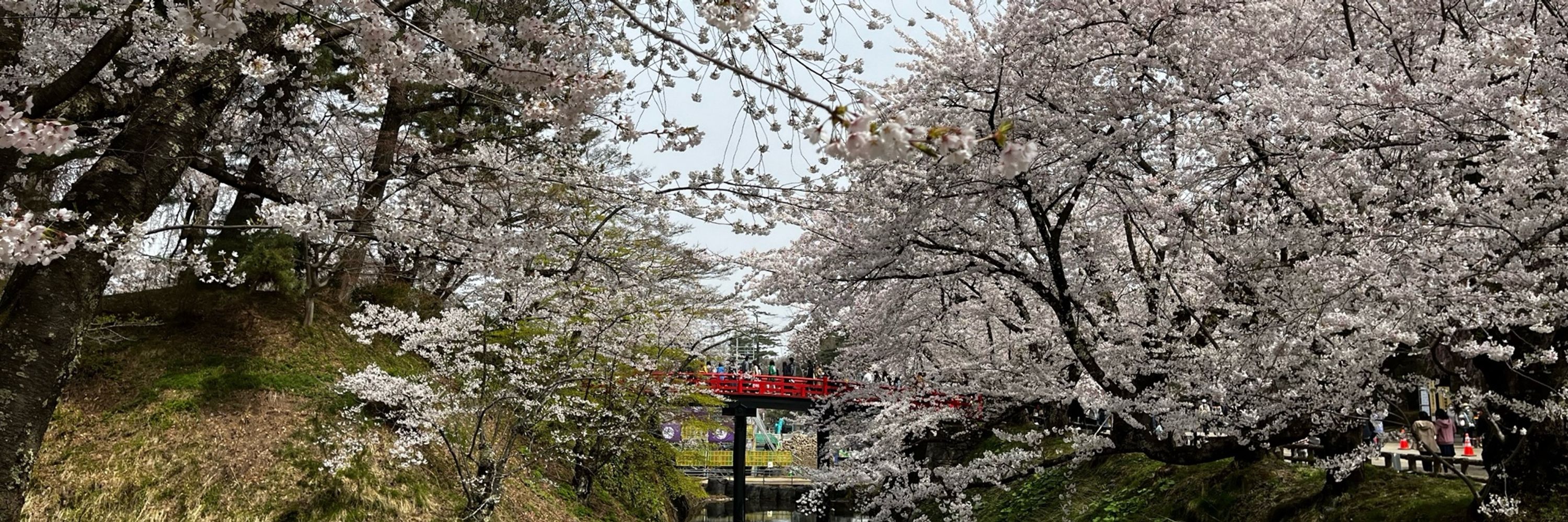 Yuki Takauchi