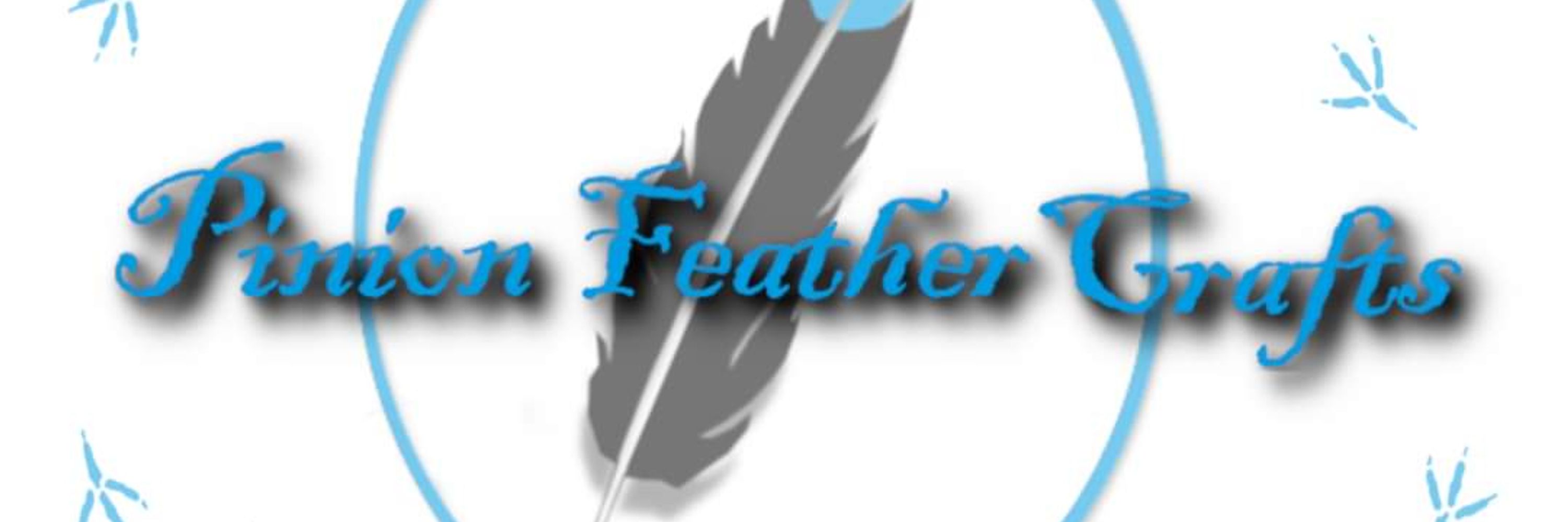 Pinion feather crafts _Levi 