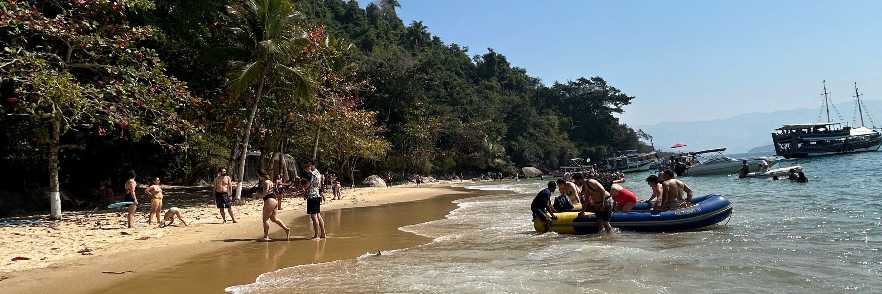 Dodói da cabeça JR