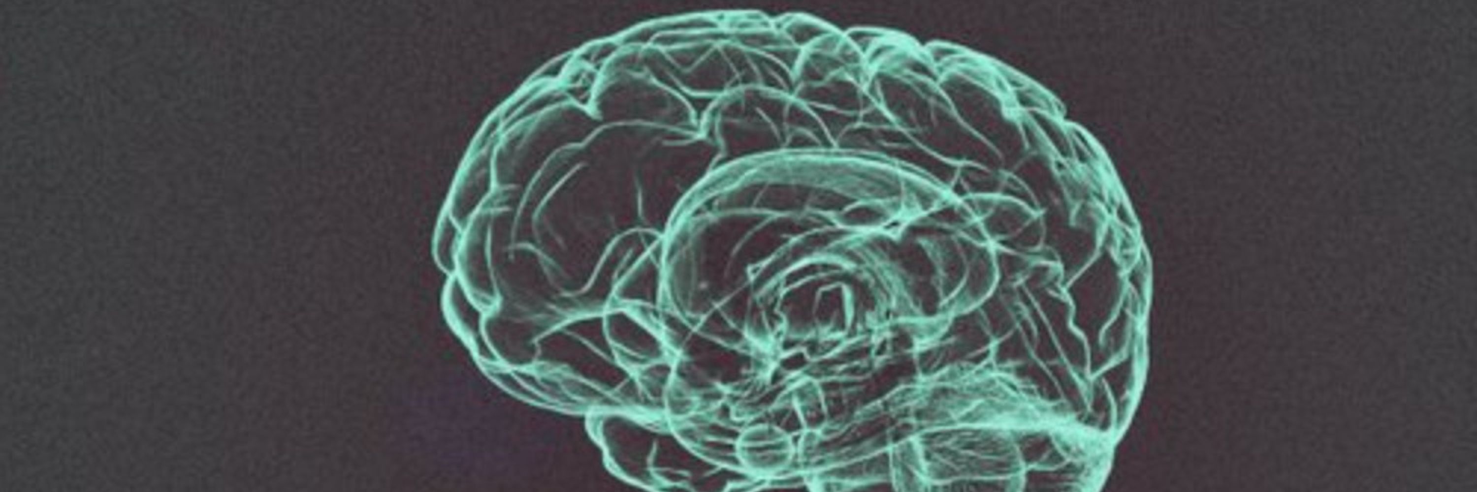 Women In Neuroscience Repository